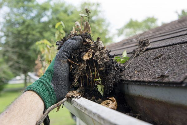 Gutter Cleaning Service Wellesley MA 3