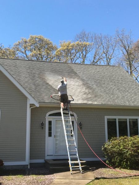 roof cleaning service wellesley ma 28