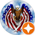 Round emblem: bald eagle with wings patterned like American flag, clutching crossed swords over cloudy sky; orange star badge at bottom-right.